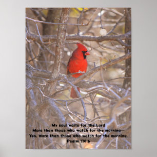 Red Kardinal Bird Väntar på fredligt bibelverse Poster