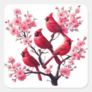 Red Kardinal Birds Rosa Cherry Blommar Träd Bird Fyrkantigt Klistermärke