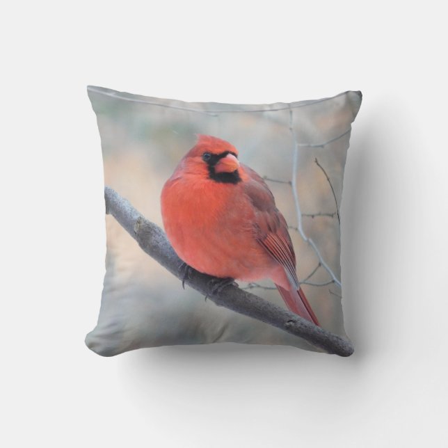Red Kardinal Pose Pillow Kudde (Framsida)