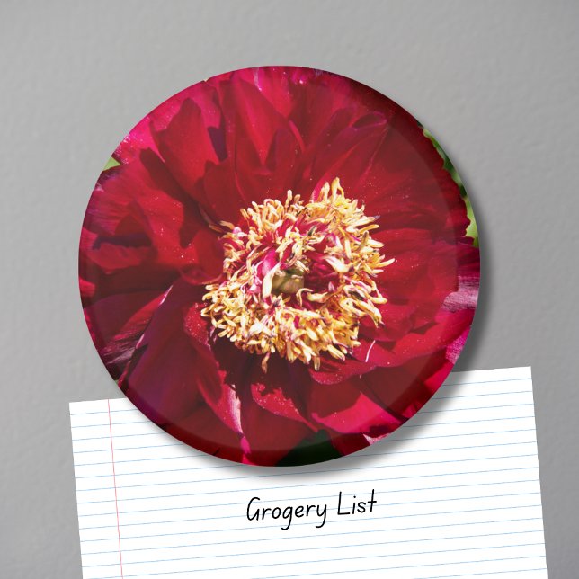 Red Karl Rosenfield Peony Magnet (Skapare uppladdad)