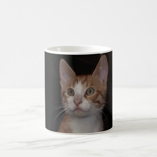 Red kattunge - unge katt, svart bakgrund kaffemugg (Center)