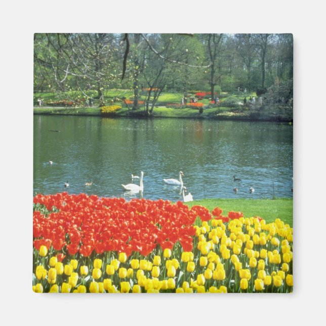 Red Keukenhof Gardens, Holland-blommor Magnet (Framsidan)