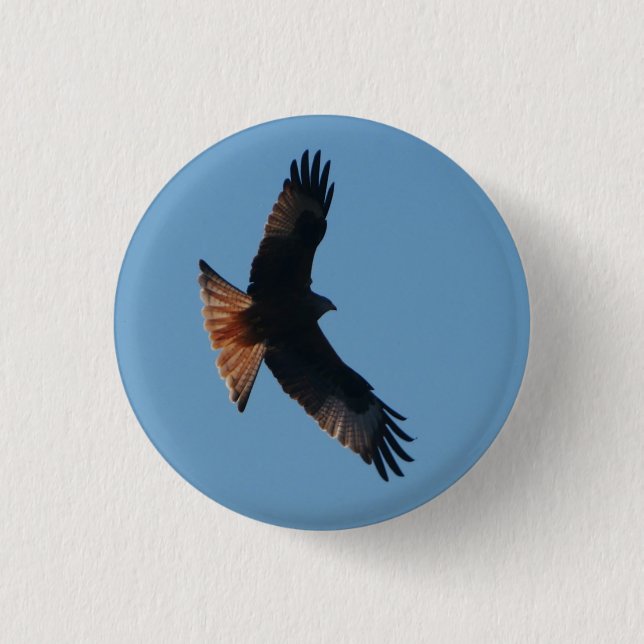 Red Kite Badge Knapp (Framsida)