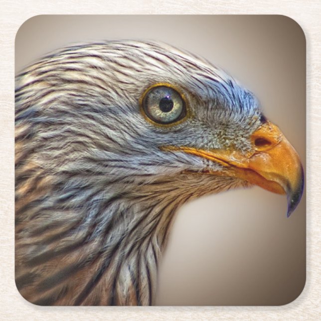 Red Kite Bird of Be Milan Underlägg Papper Kvadrat (Framsidan)