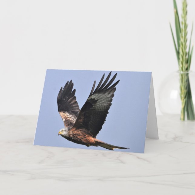 Red Kite Kort (Framsida)