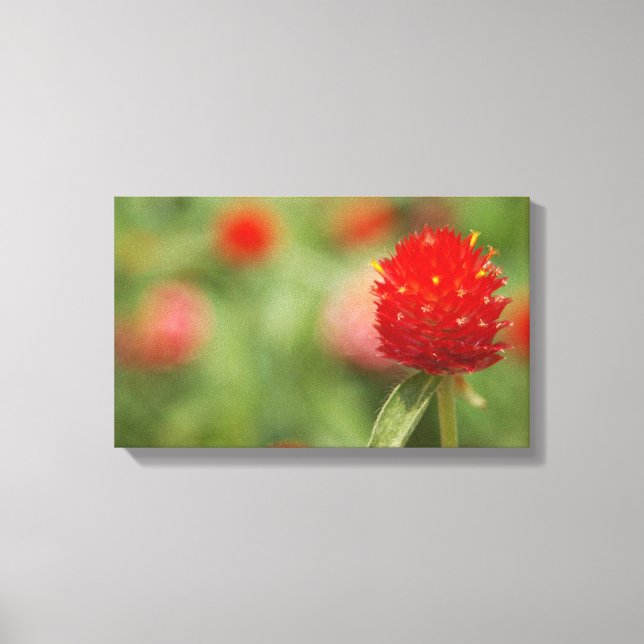 Red Klöver Canvas Art (Framsida)