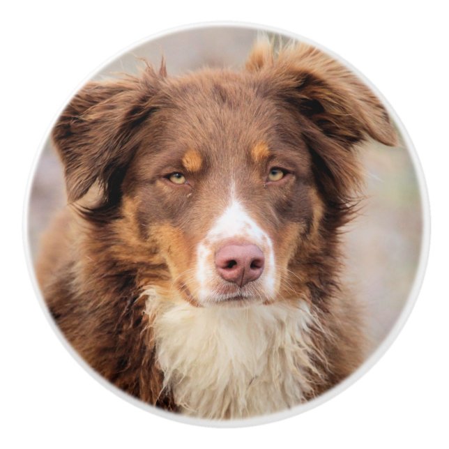 Red Knopp (Framsidan)