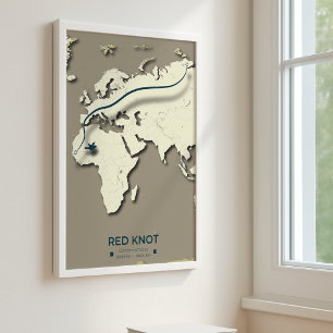 Red Knot Migration Karta - Minimalistisk Vintage B Poster