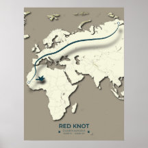 Red Knot Migration Karta - Minimalistisk Vintage B