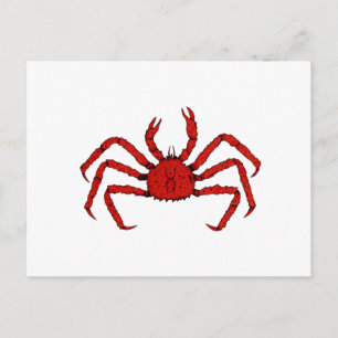 Red Kung Crab (illustration av färg) Vykort