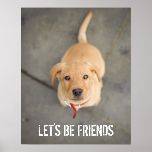 Red Labour Puppy Poster (Framsidan)