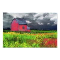Red lador, naturfotografering, land hemdekoder