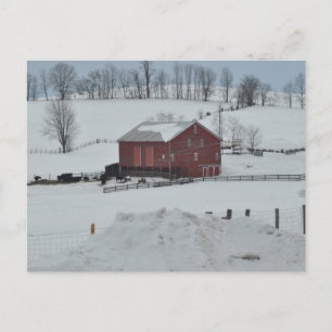 Red-ladugård Vykort