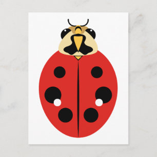 Red Ladybug Beetle Vykort