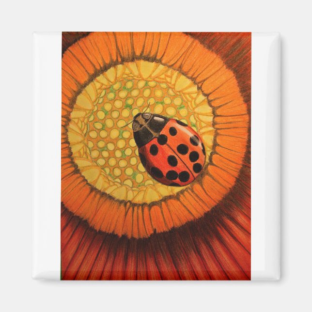 Red Ladybug på blomman Magnet (Framsidan)
