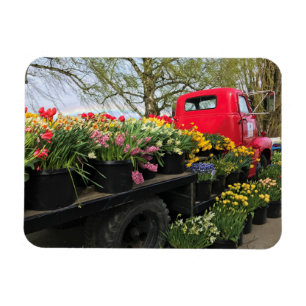 Red Lastbil med Vår blommor och regnbåge Magnet