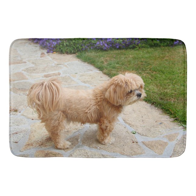 Red Lhasa Apso hund Badrumsmatta (Framsidan)