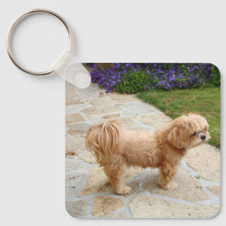 Red Lhasa Apso hund Nyckelring