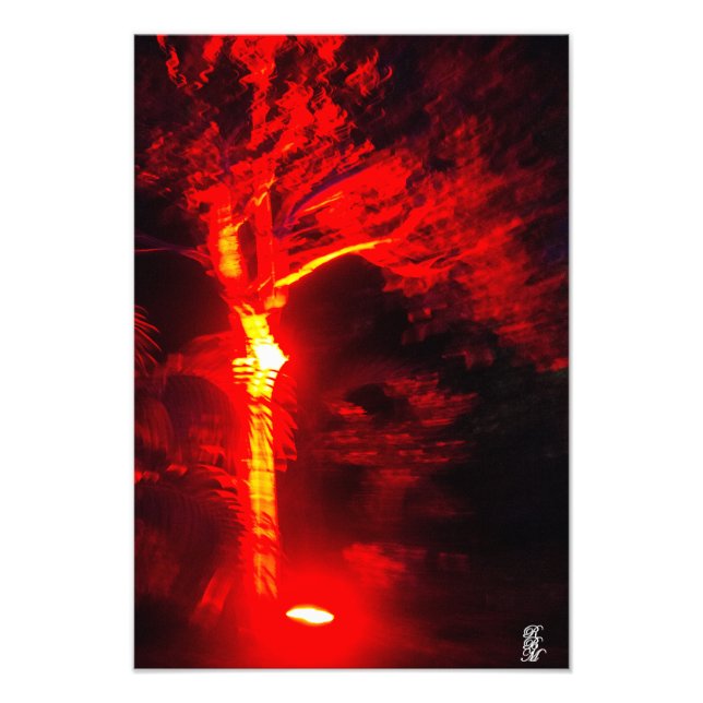 Red Light Träd Fototryck (Framsidan)