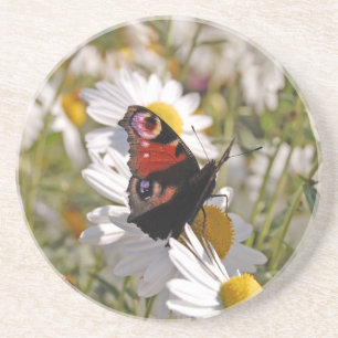 Red Lila Black Butterfly på Daisy Underlägg Sandsten