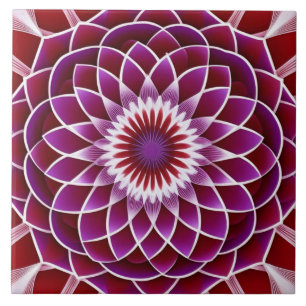 Red Lila Dahlia Kakelplatta