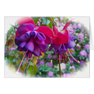 Red Lila Fushia Blommar Hälsningskort