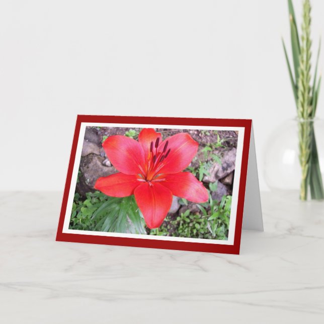 Red Lilie 2 Kort (Framsida)