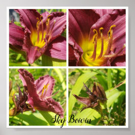 Red Lilies-sortiment Poster