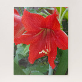 Red Lilly Flower Puzzle Pussel