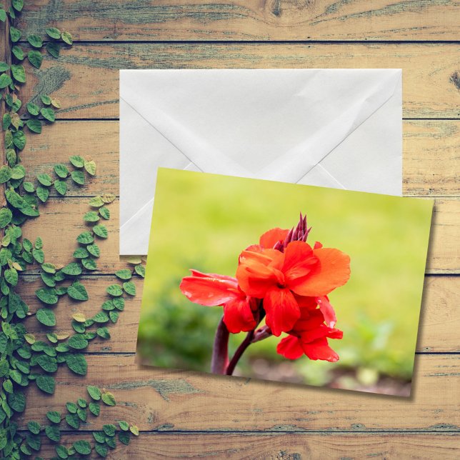 Red Lily Anteckningskort (Skapare uppladdad)