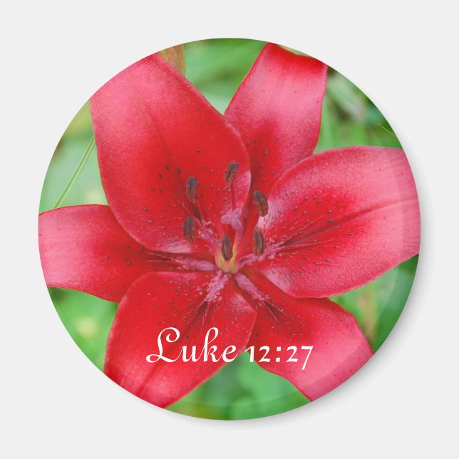 Red Lily Magnet Luke 12:27 (Framsidan)