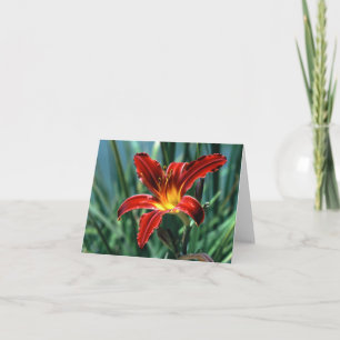 Red Lily Note Card Kort