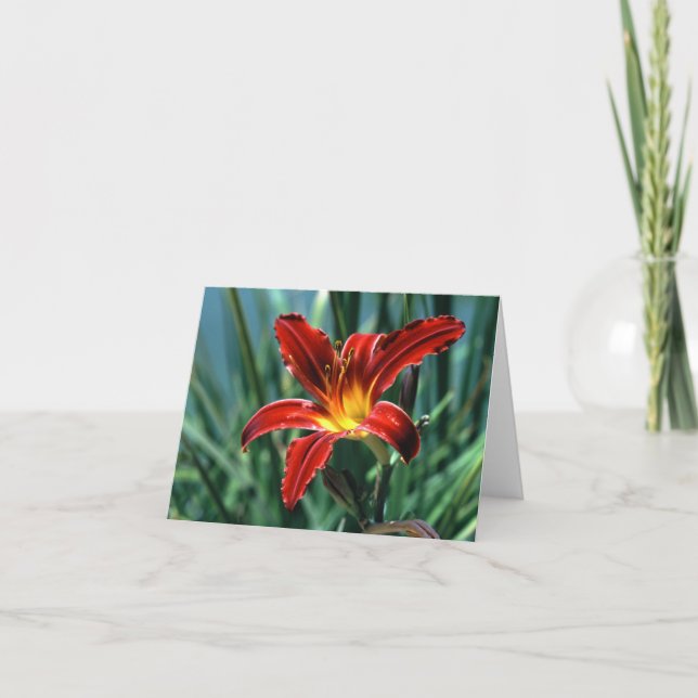 Red Lily Note Card Kort (Framsida)