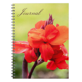 Red Lily Notebook Anteckningsbok