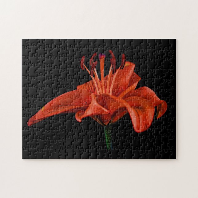 Red Lily on Black Pussel (Horisontell)