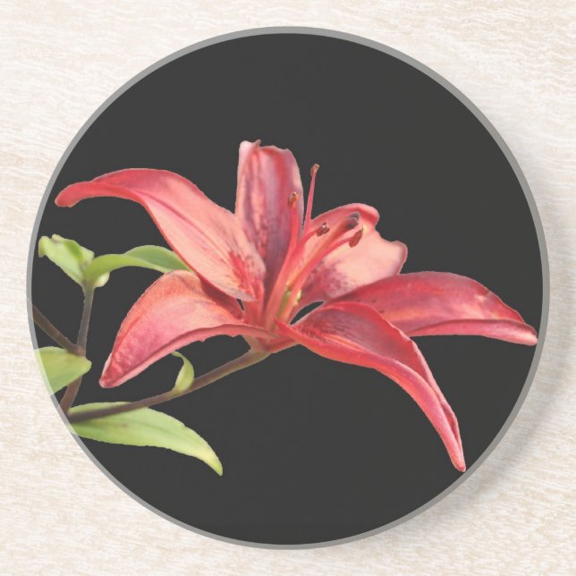 Red Lily Sandstone Underlägg (Framsidan)