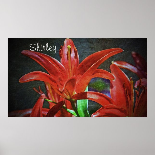 Red Lily-Textured av Shirley Taylor Poster (Framsidan)