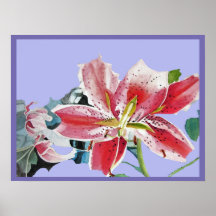 Red Lily Watercolor Flowers Blommigt Art Poster