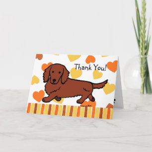 Red Long-håved Dachshund Tack Kort