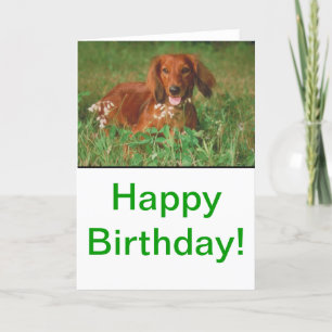 Red Long-parad Dachshund Kort