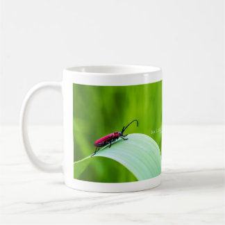 Red Longicorn Beetle and green background Kaffemugg
