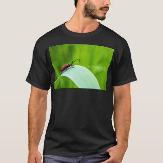 Red Longicorn Beetle and green background T Shirt