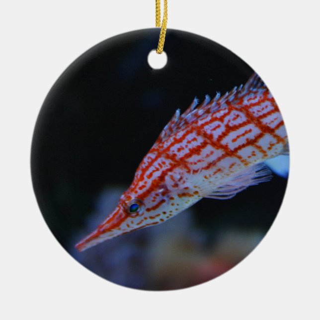 Red Longnos Hawkfish Julgransprydnad Keramik (Framsidan)