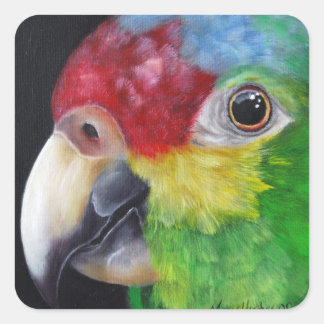 Red Lored Amazon Parrot Sticker Fyrkantigt Klistermärke