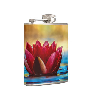 Red Lotus Vatten Lily Flower Fickplunta