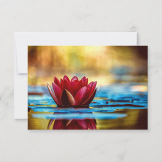 Red Lotus Vatten Lily Flower Tack Kort