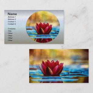 Red Lotus Vatten Lily Flower Visitkort