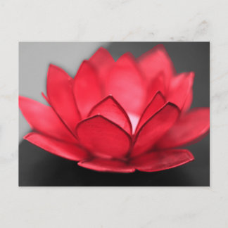 Red Lotus Vykort