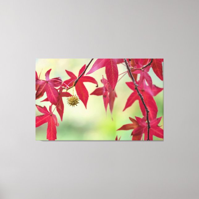Red Löv Canvastryck (Framsida)