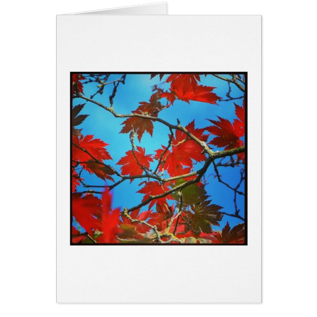 Red löv hälsningskort (Framsidan)